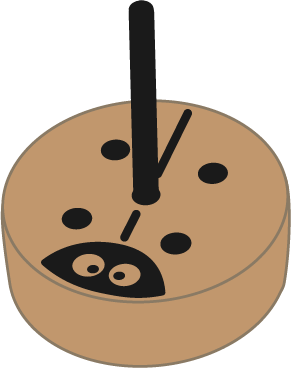 logo primaSTEM